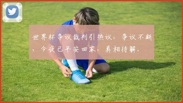 世界杯争议裁判引热议，争议不断，今夜已平安回家，真相待解。