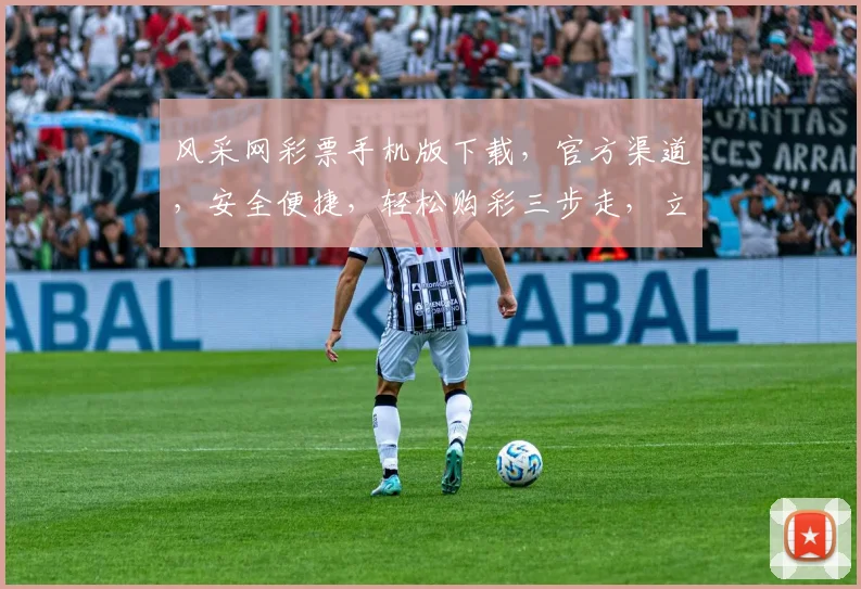 风采网彩票手机版下载，官方渠道，安全便捷，轻松购彩三步走，立即下载体验