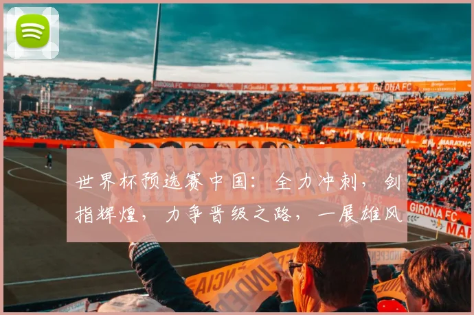 世界杯预选赛中国：全力冲刺，剑指辉煌，力争晋级之路，一展雄风，势不可挡