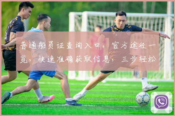 普通船员证查询入口，官方途径一览，快速准确获取信息，三步轻松查询，权威可靠。
