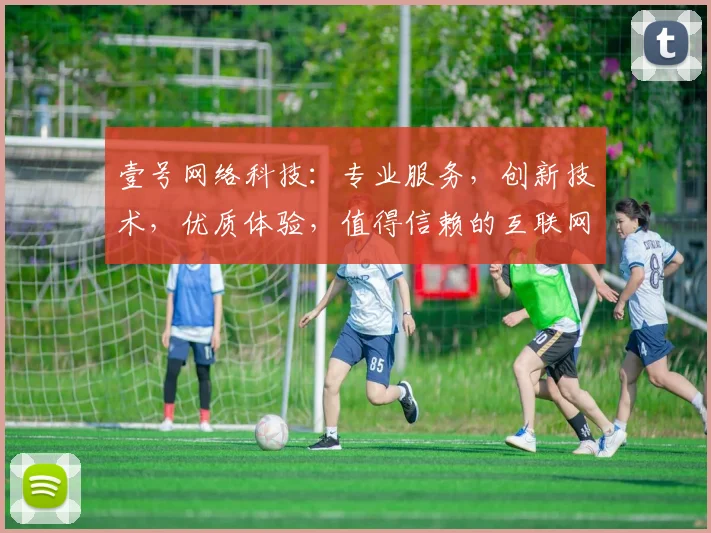 壹号网络科技：专业服务，创新技术，优质体验，值得信赖的互联网伙伴，行业领先